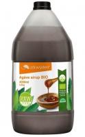 Agave sirup 100% zahuštěná šťáva BIO a RAW 4050ml